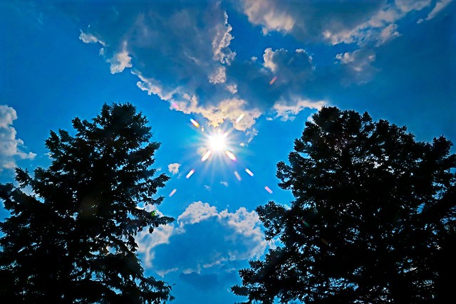 Symmetry of several items: clouds, trees, sky, sun and sun flare.