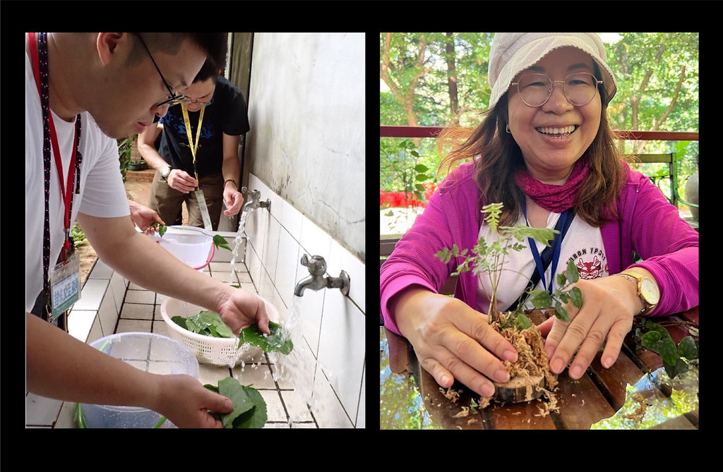 志工清洗採摘回來的野菜，及學習製作苔球，認識台灣淺山森林食用植被及原生蕨類。攝影：李柏霖
