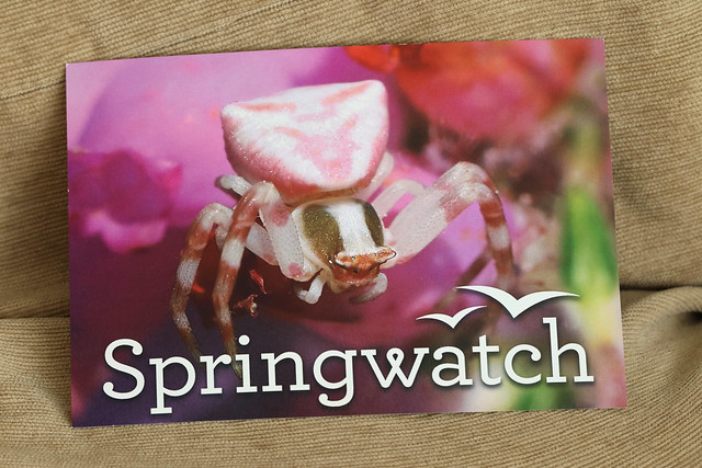 My Springwatch cue card !!