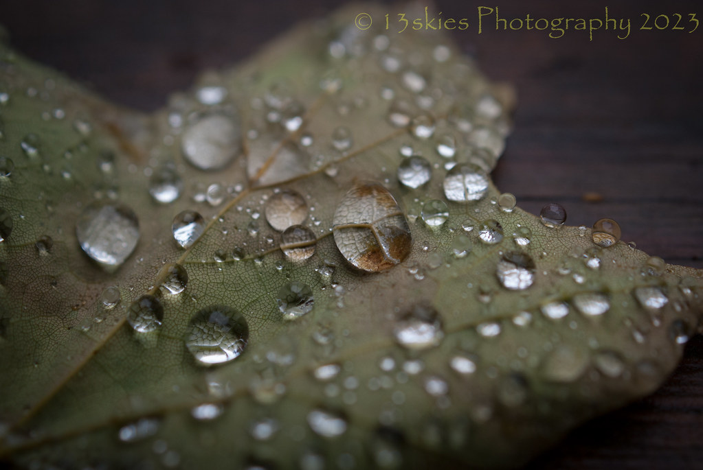 Droplets #3 (SoS) Thanks Flickr