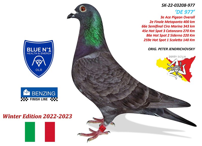 SK 22 03208 977 PJ AMIRA_SICILIA 2022
