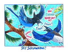 Jay Squawking