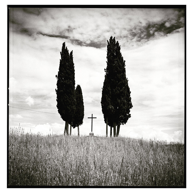 Hasselblad 501 CM - Ilford Fp4 - val d’orcia Tuscany