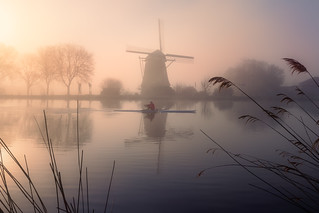 Rowing in a dream