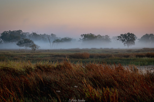 Wetlands Mist *EXPLORED*