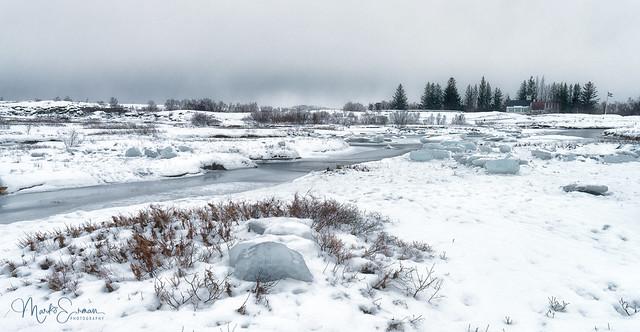 Þingvellir's white landscape