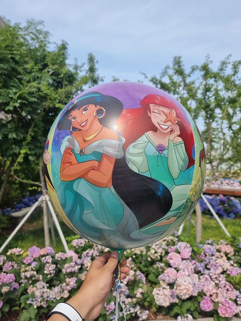 Disney Princess Once Upon a Time Orbz Balloon Inflated with Helium (Made by Anagram)