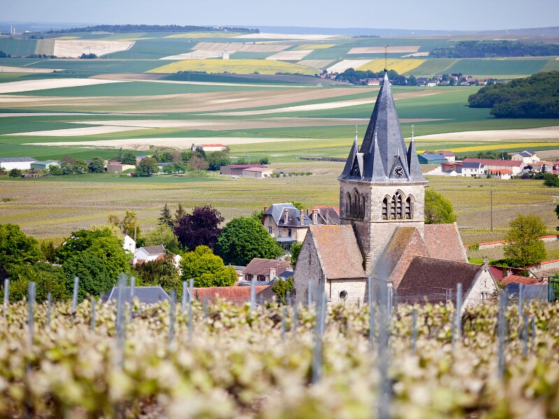 private champagne tours from Paris - private champagne tours from Paris (6)