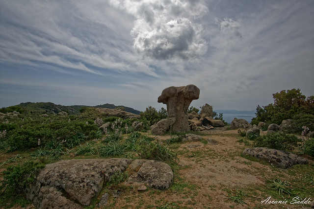 Fungo di pietra di Codoleddu (Maracalagonis) [on Explore June 19, 2023]