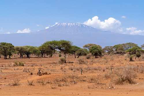 View of Mt. Kilimanjaro, from the Kenya, Africa side on a clear day by m01229, View of Mt. Kilimanjaro, from the Kenya, Africa side on a clear dayafrica mtkilimanjaro safari natur