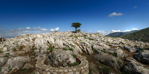 landscape greece mycenae historical site tree clouds nature olive europe travel