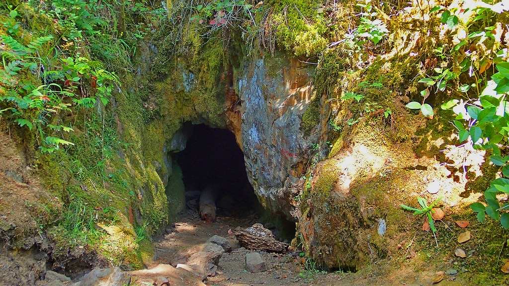 17. Gold mine | OLYMPUS DIGITAL CAMERA | Karen Carthy | Flickr