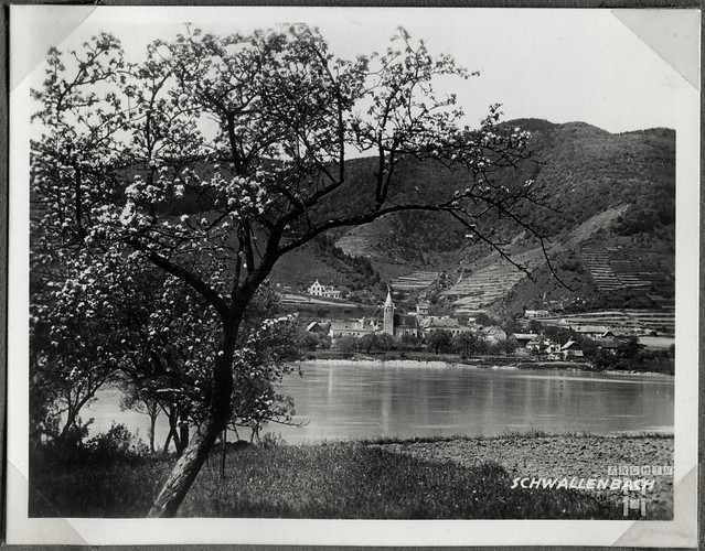 ArchivTappen36(1G)Alb20S78 Schwallenbach Donau, Wachau, Österreich, 1920er