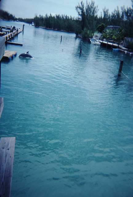 1994 - Bahamas (16 of 39)
