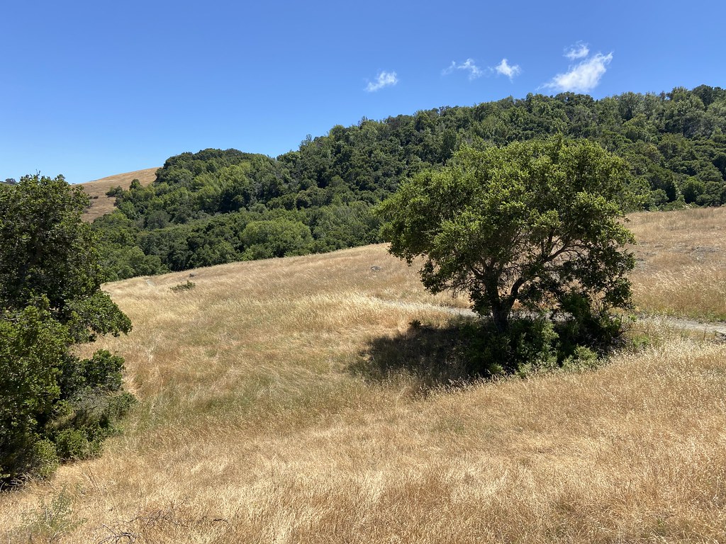 Edgewood Trail