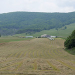 raked hay 2 Raked hay

Driving around Burke&#039;s Garden, an isolated mountain valley in Tazewell County, Virginia