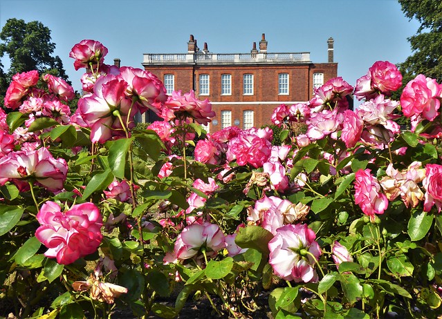 Rose Garden, Rangers House, Greenwich Park, London