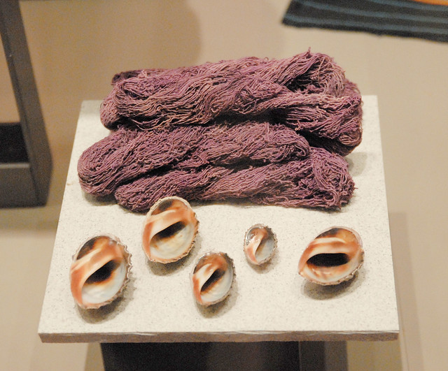 Mexico Oaxaca Natural Dyes Caracol Seashells Molluscs Purpura pansa