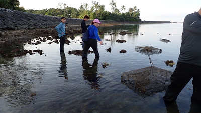 Fish traps on Pulau Hantu, June 2023