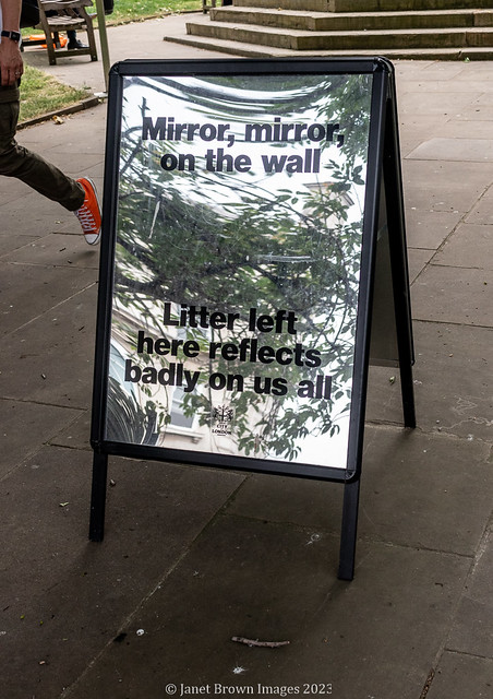 2023 163-365 Mirror, Mirror