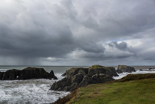 Coquille Point 2015 12 14  52