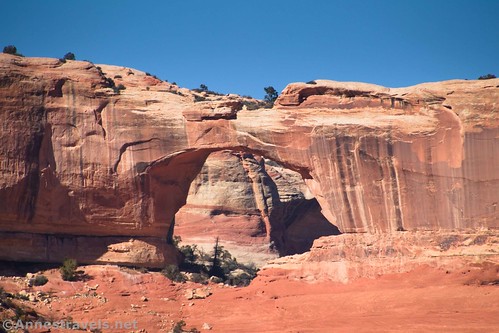 A closeup of Kirk Arch from Kirk Cabin, Upper Salt Creek Trail, Canyonlands National Park, Utah