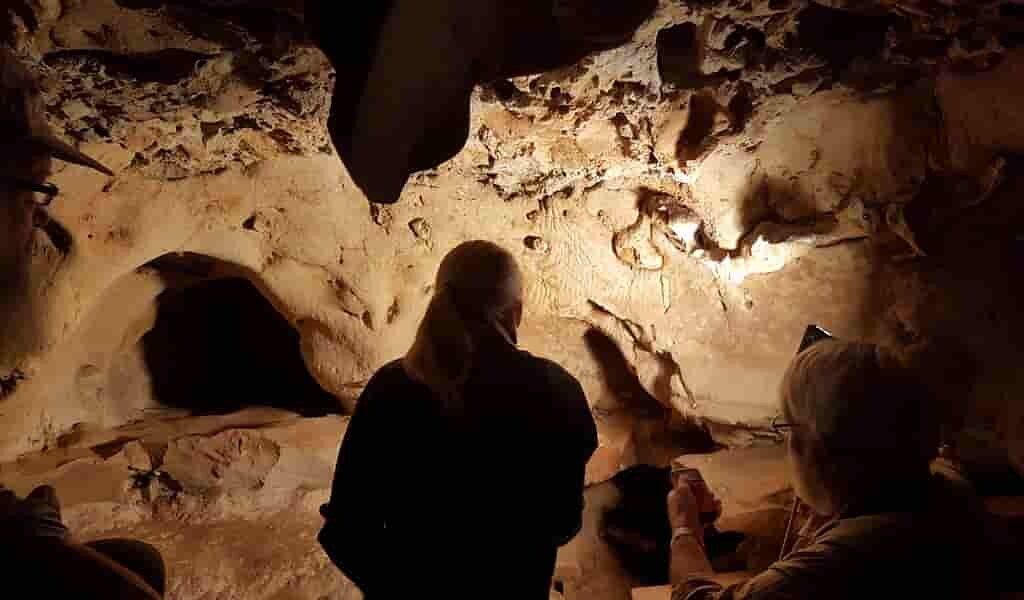 des-gravures-dans-des-grottes-sont-les-premières-œuvres-art-Néandertalien