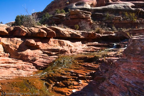 A small part of the waterfall in Salt Creek near Kirk Cabin, Canyonlands National Park, Utah