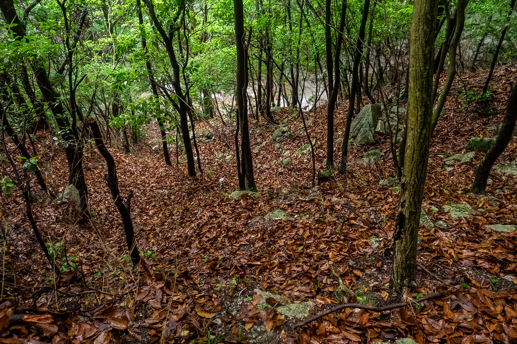 釈迦ヶ岳