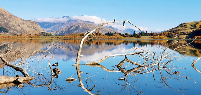 Lake Hayes. Otago. NZ