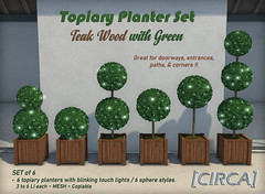 @ SL20B Shop & Hop | [CIRCA] - Topiary Planter Set - Teak Wd with Green