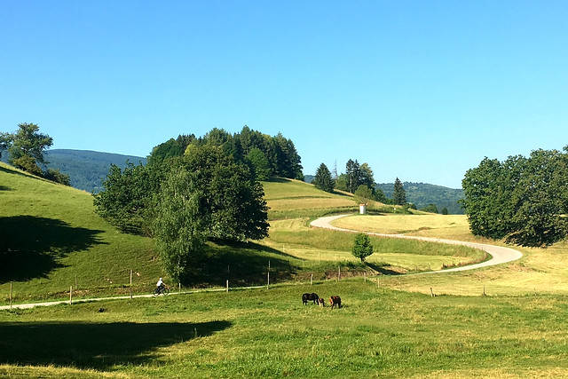 Cycling in sLOVEnia
