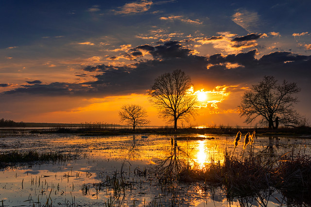 Sunset on the marshes