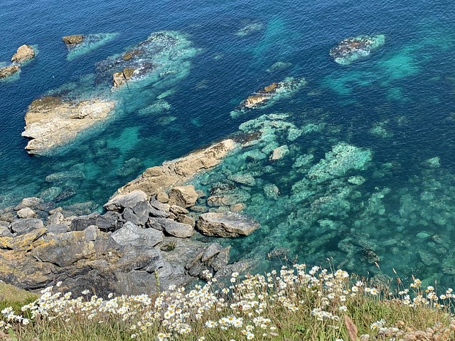 Looking for Seals……Mesmerising colour of the sea ( totally not edited or enhanced) on the SW Coast Path, Cornwall