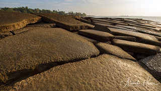 Fossil Shell Beach