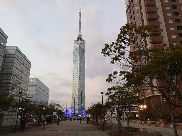 Fukuoka Tower (福岡タワー)