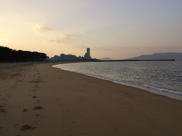 Momochi Seaside Park ( シーサイドももち海浜公園)