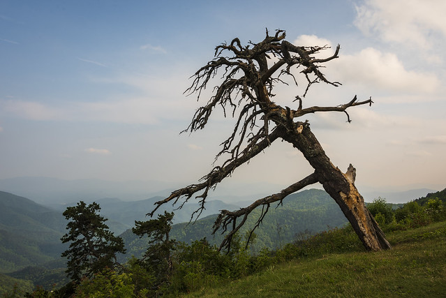 Old man and the mountains - Blue Ridge Mountains, North Carolina