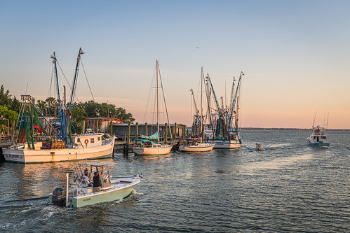 goldenhour charleston sunset southcarolina charlestonharbor shemcreek trawler portcity boats charlestoncounty dusk
