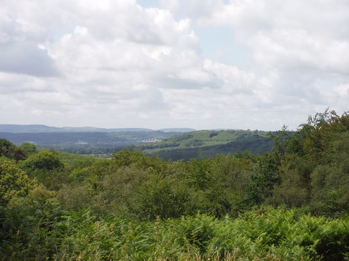 Views out to Butser Hill/South Downs from Marley Common car park SWC Walk 218 Haslemere to Midhurst (The Midhurst Way)