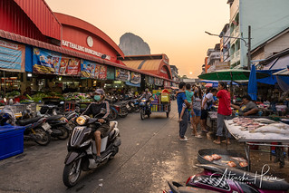 Municipal Market