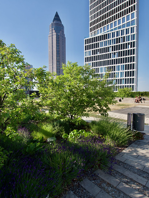 View from Skyline Garden Frankfurt
