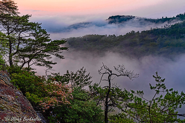 A Red River Gorge morning.