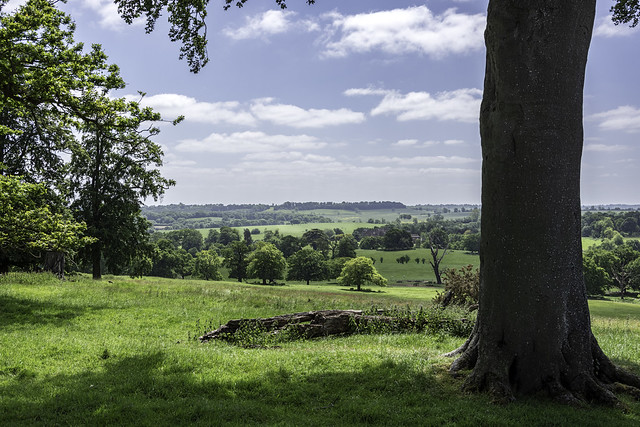View south over Fawsley Park from near the edge of Badby Wood, Northamptonshire