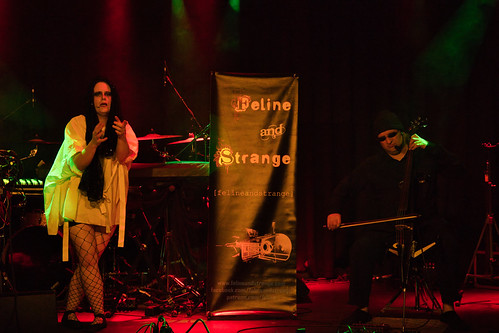 Feline & Strange