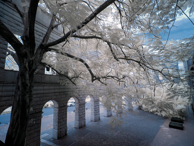 (infrared photography)亞洲大學  羅馬體育館