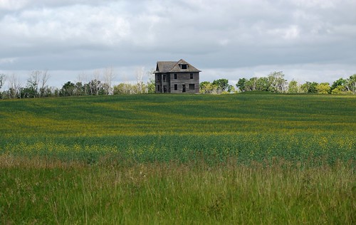 Summer Farm House SK 20230621_090153 P1030275 by CanadaGood, View across canola fields to a grand old farm house.
Southern edge of the rural municipality of Mapl