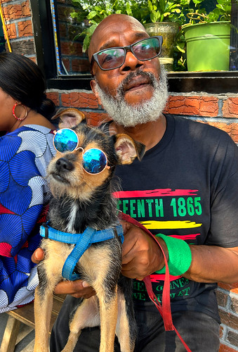 Doggie Shades | by Juliaforphotos