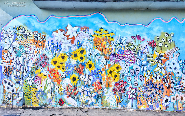 Flowers mural - 12 South District - Nashville, Tennessee