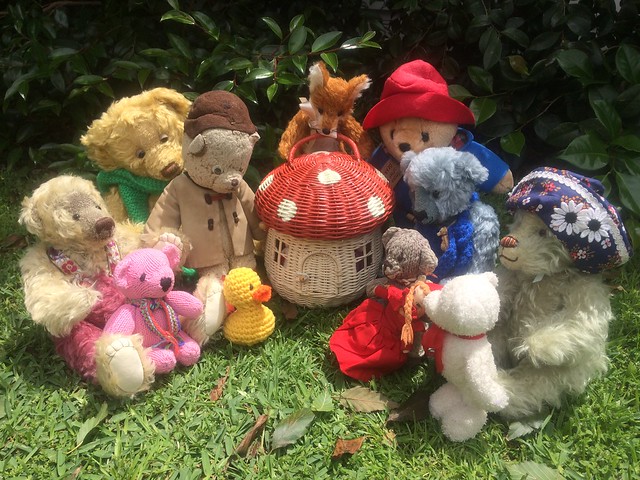 Paddington, Scout and the Faeries in the Garden I.